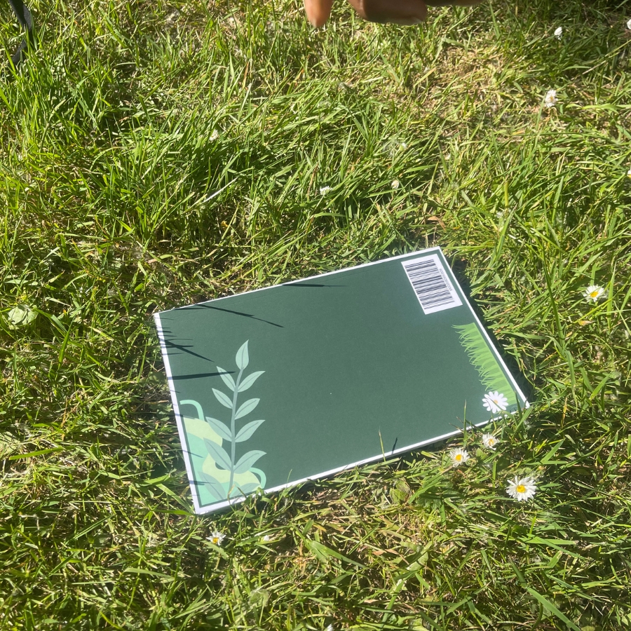 Another new picture's description