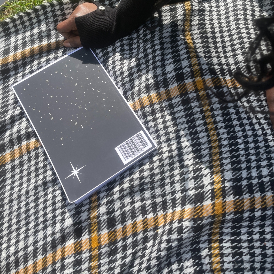 Another new picture's description