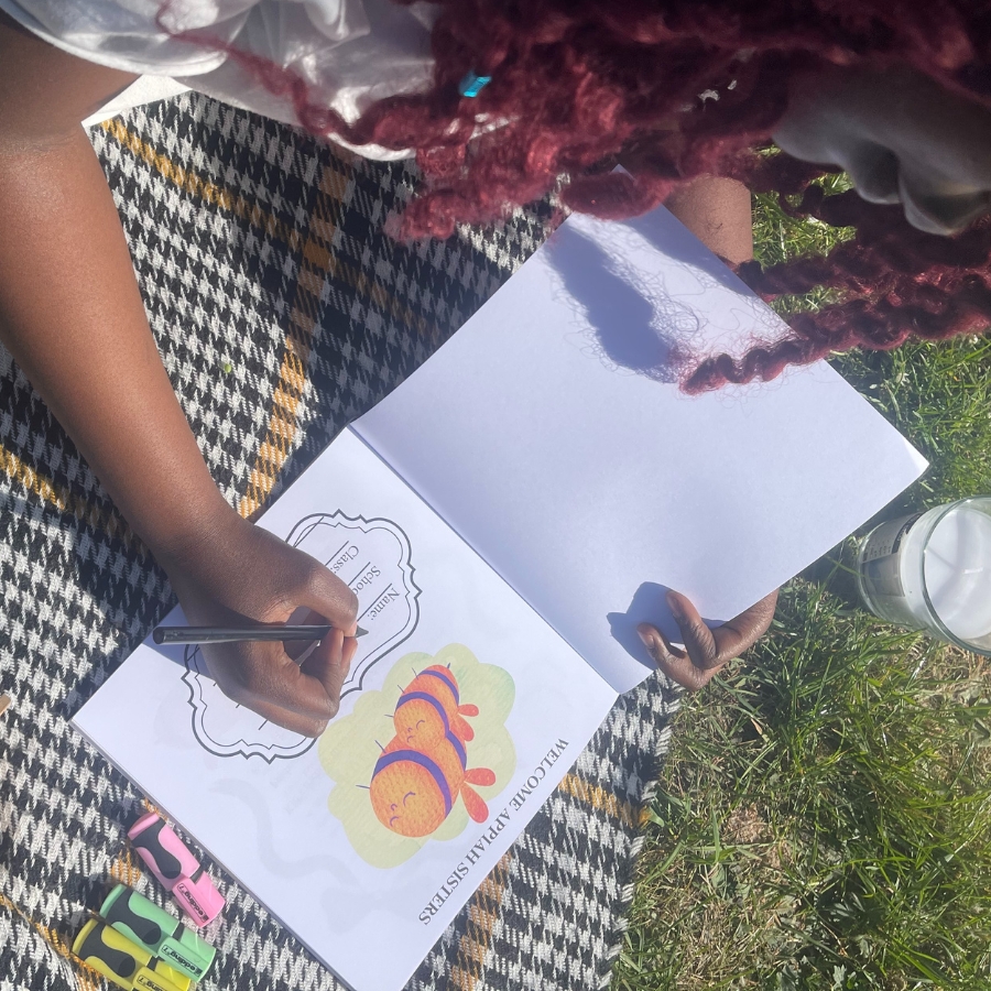 Another new picture's description